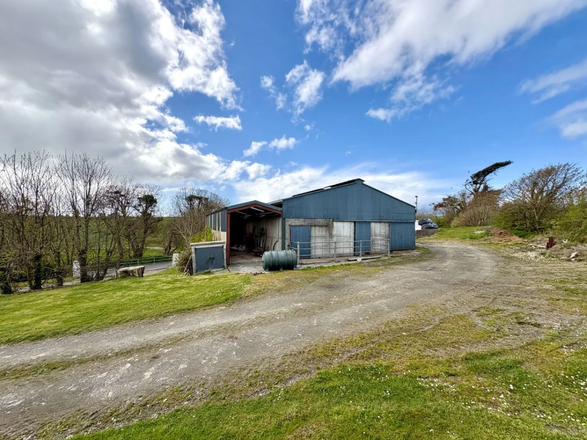 The Mill, Ballynoe, Causeway, Causeway, Co. Kerry - Image 24